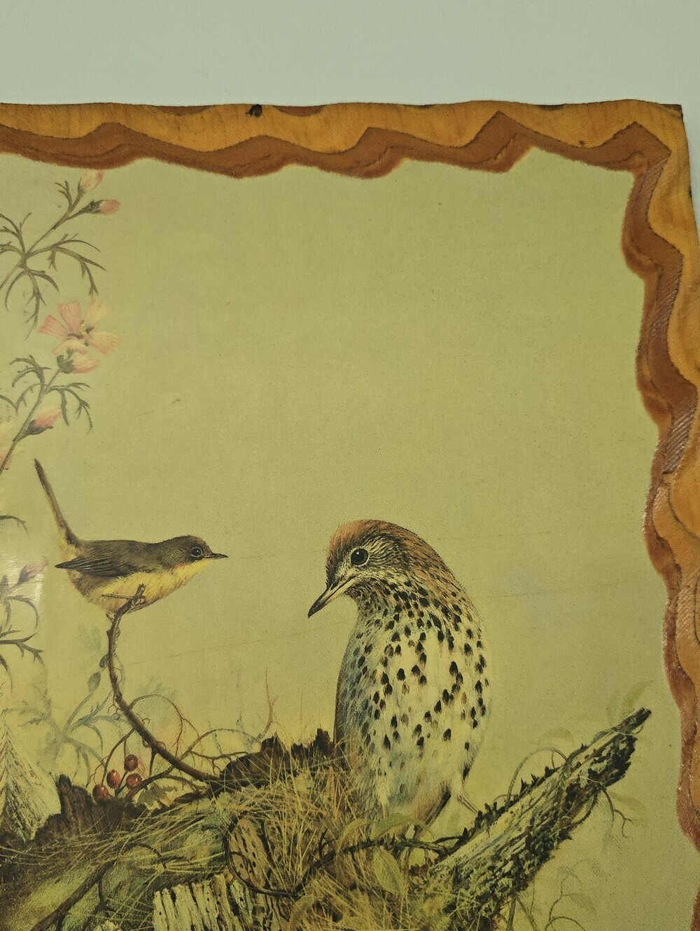 Vintage Woodland Songster print by Ruane Manning Art Birds Rustic Wood Decor Mcm - Picture 8 of 13